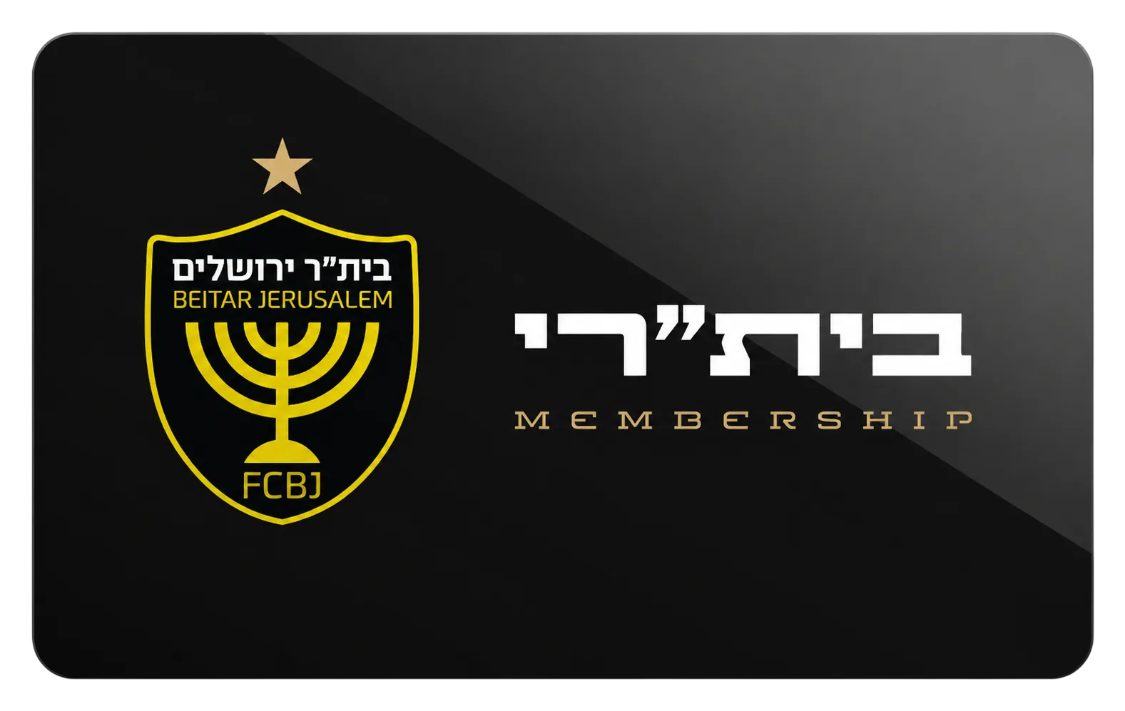 מנוי בית"רי