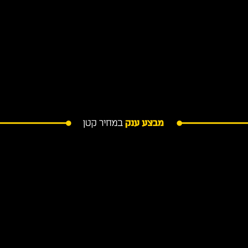 מנוי פלייאוף