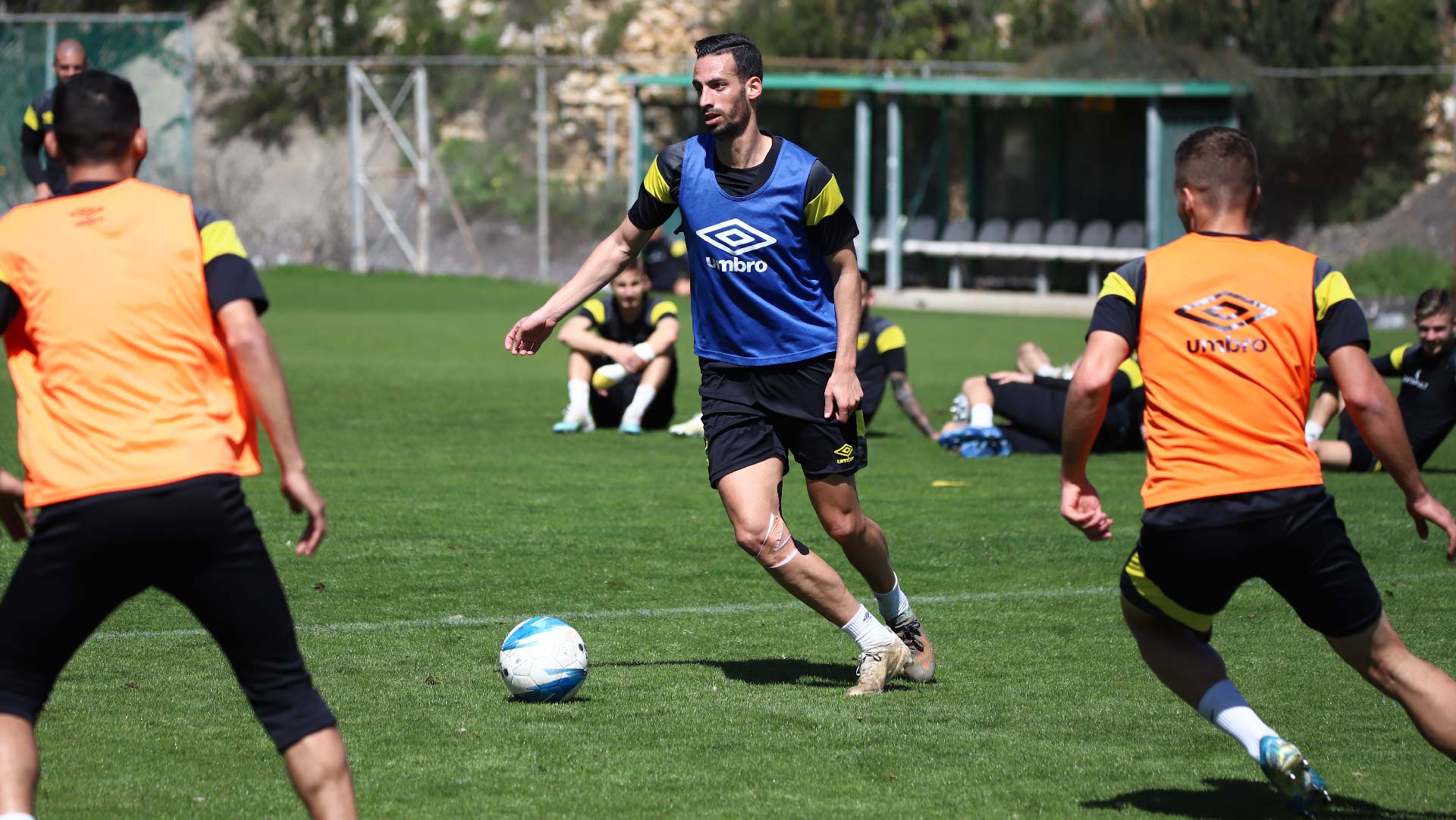 דן איינבינדר