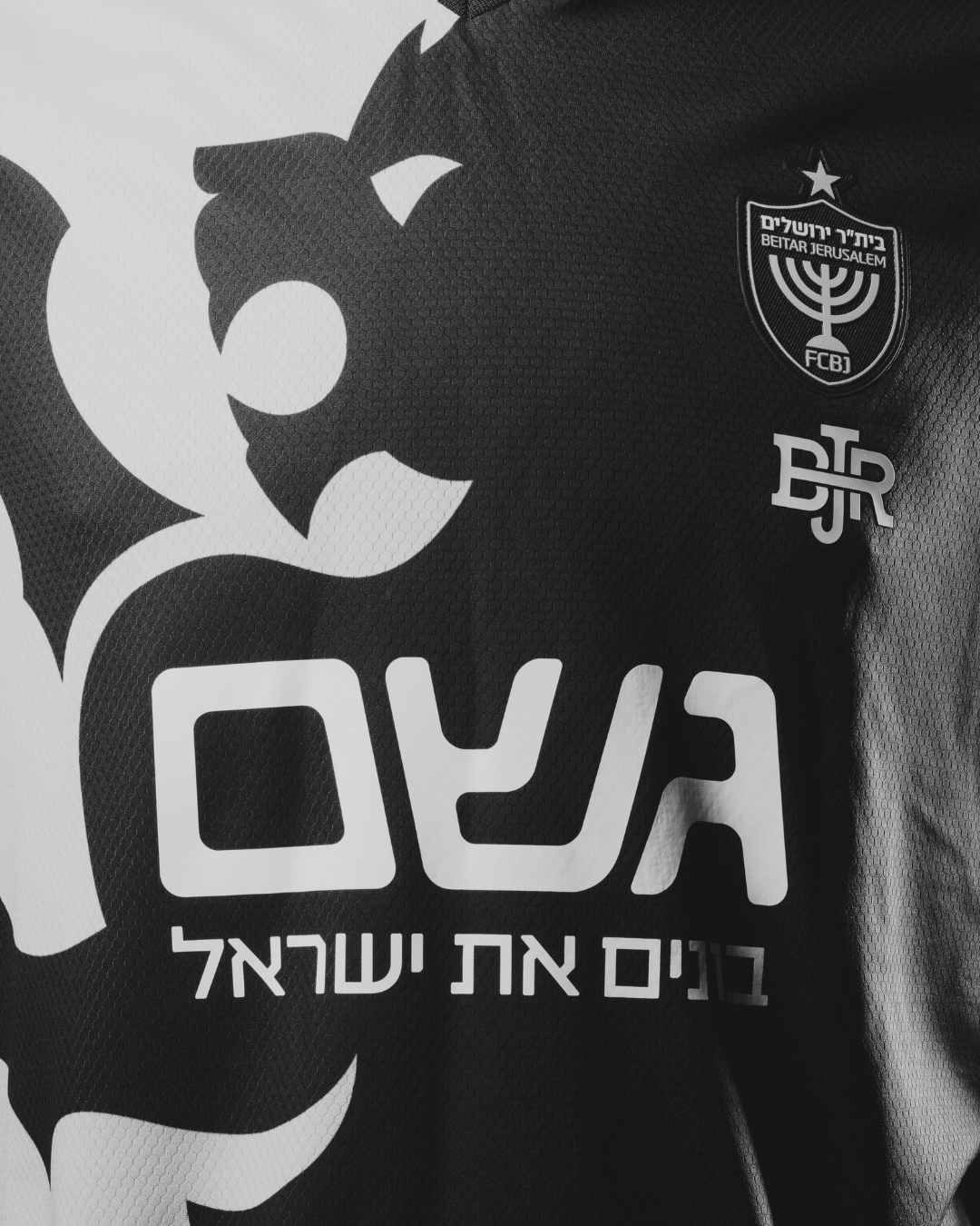 השותפים שלנו